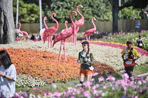 BIB: 
                            <button type="button" onclick="openModal(27793071)" class="btn btn-primary btn-sm float-right btn-popup" data-toggle="modal" data-target=".modal-high-quality">
                        <i class="fas fa-shopping-cart"></i> Add to Cart
                    </button>
                                            <button type="button" onclick="isThisMe(27793071, true)" class="btn btn-success btn-sm float-right btn-popup btn-isme hidden" data-toggle="tooltip" data-placement="bottom" title="นี่คือรูปของคุณใช่ไหม คลิกที่นี่เพื่อเอาเข้าอัลบั้ม">
                        <i class="fas fa-plus"></i> Add to album
                    </button>
                    <button type="button" onclick="isThisMe(27793071, false)" class="btn btn-warning btn-sm float-right btn-popup btn-isnotme hidden">
                        <i class="fas fa-ban"></i> Remove from album
                    </button>